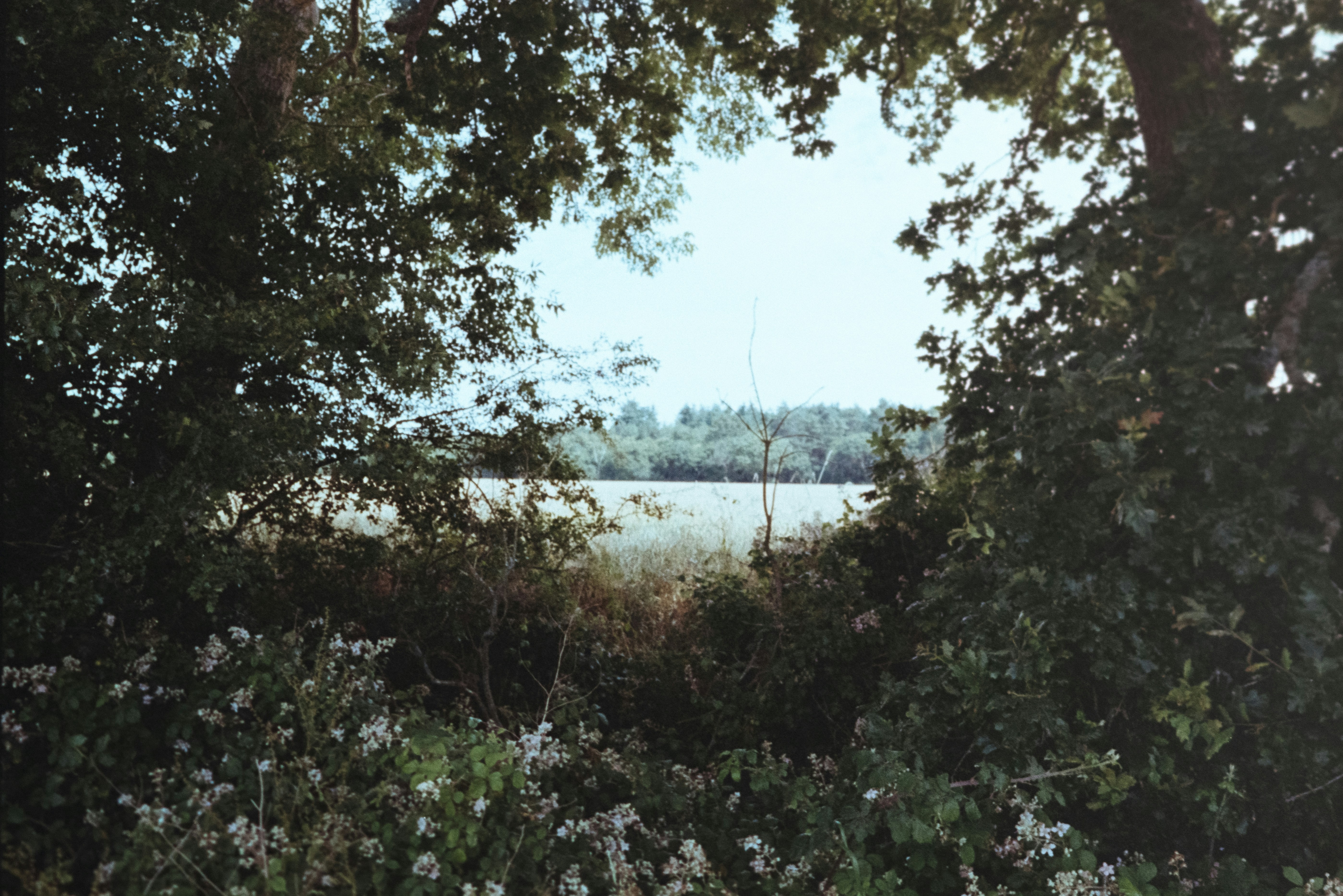 Photo by anniespratt