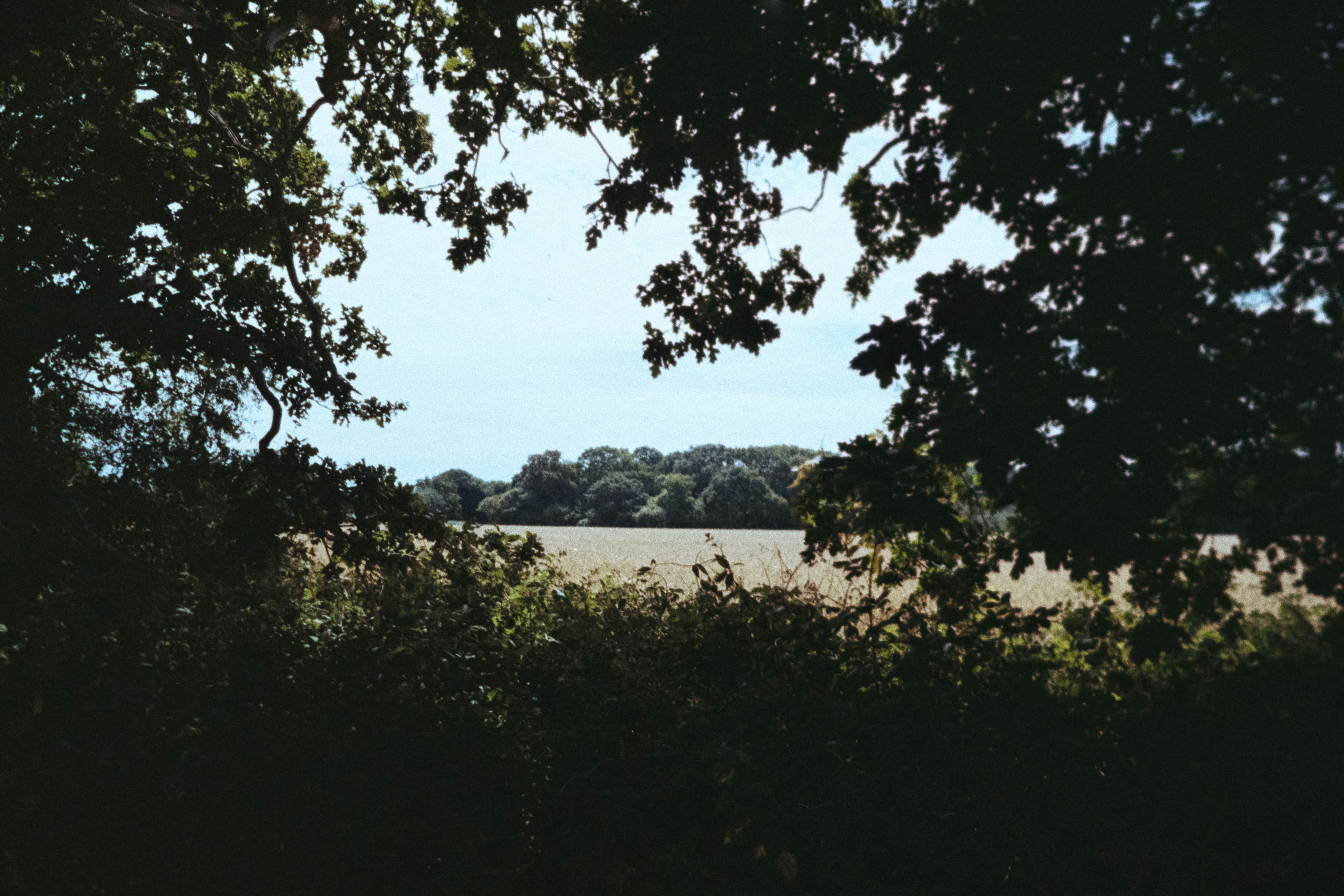 Photo by anniespratt