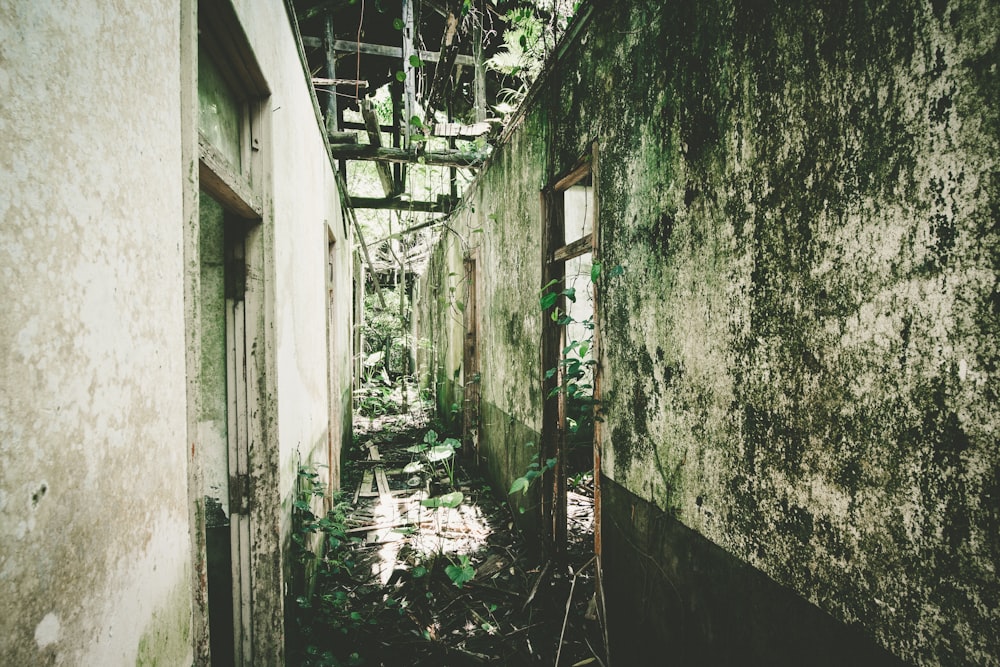 photo of gray and green concrete walls