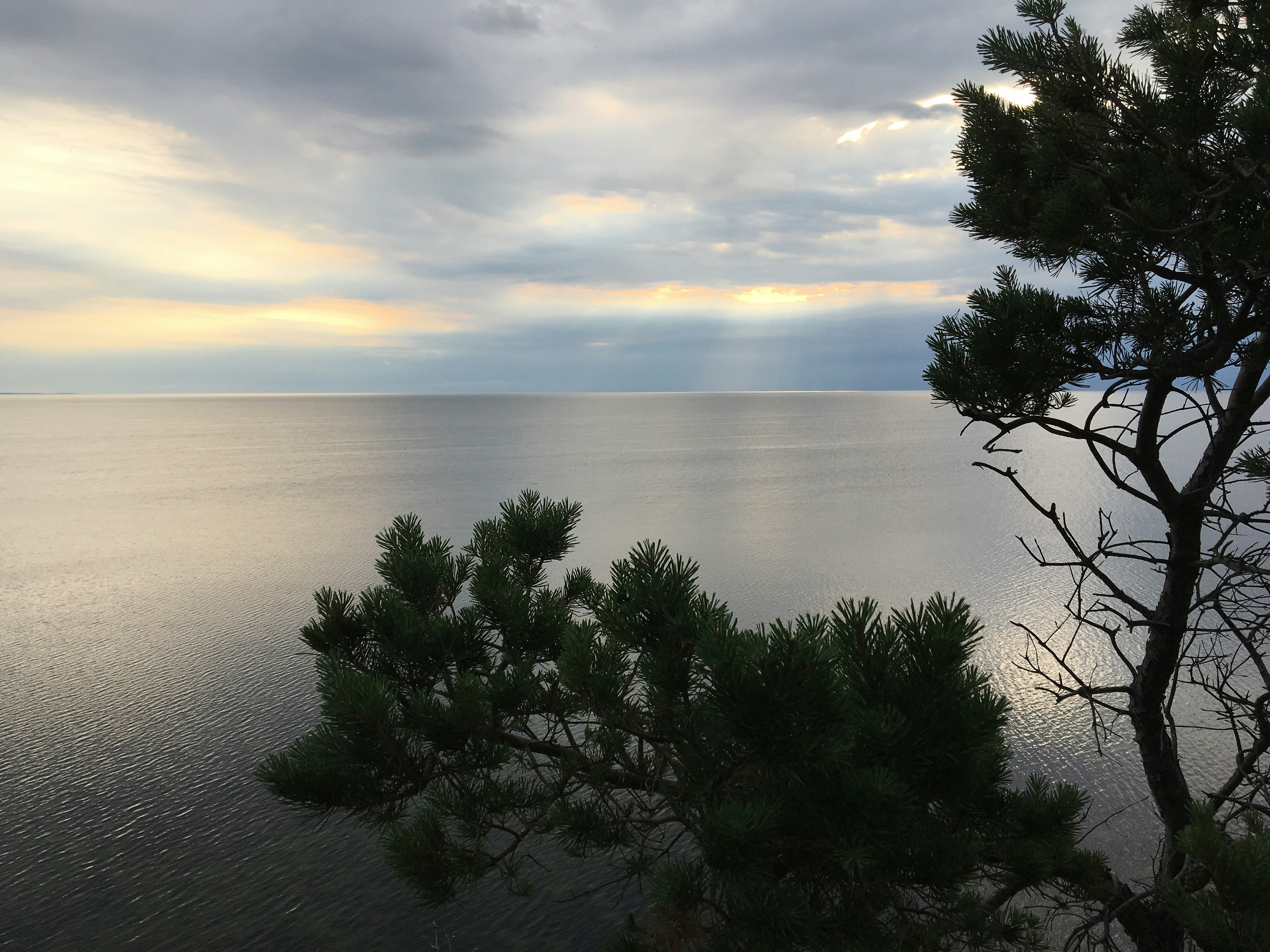 Photo by strathacona