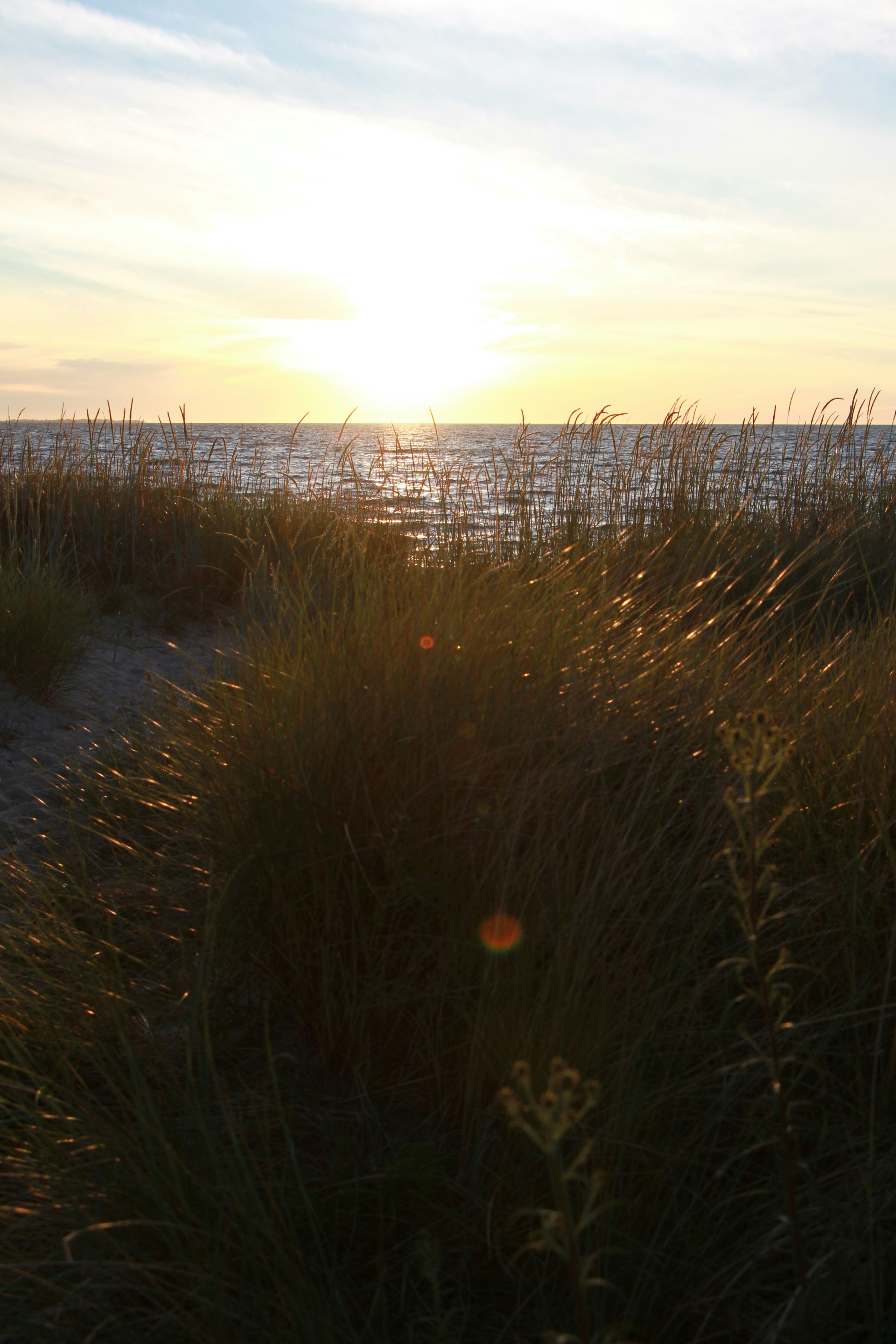 Photo by strathacona