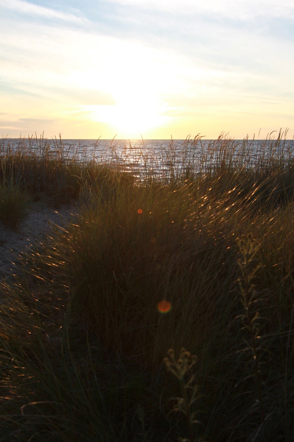 The image depicts a serene beach scene at sunset. The sky is painted with hues of orange and yellow, serving as a stunning backdrop to the tranquil ocean below. The sun is setting behind the horizon, casting long shadows across the landscape. The perspective of the photo is taken from ground level, looking down towards the water, giving a sense of being right there on the beach. The foreground features tall grasses swaying gently in the breeze and small plants dotting the sandy shoreline.
