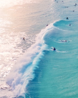 group of people doing surfing on body of water during daytime