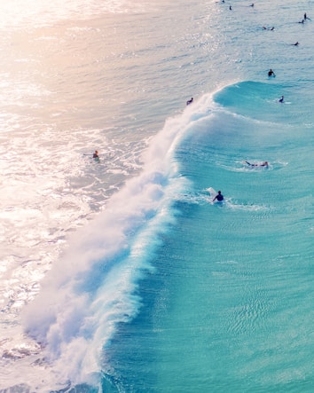 group of people doing surfing on body of water during daytime