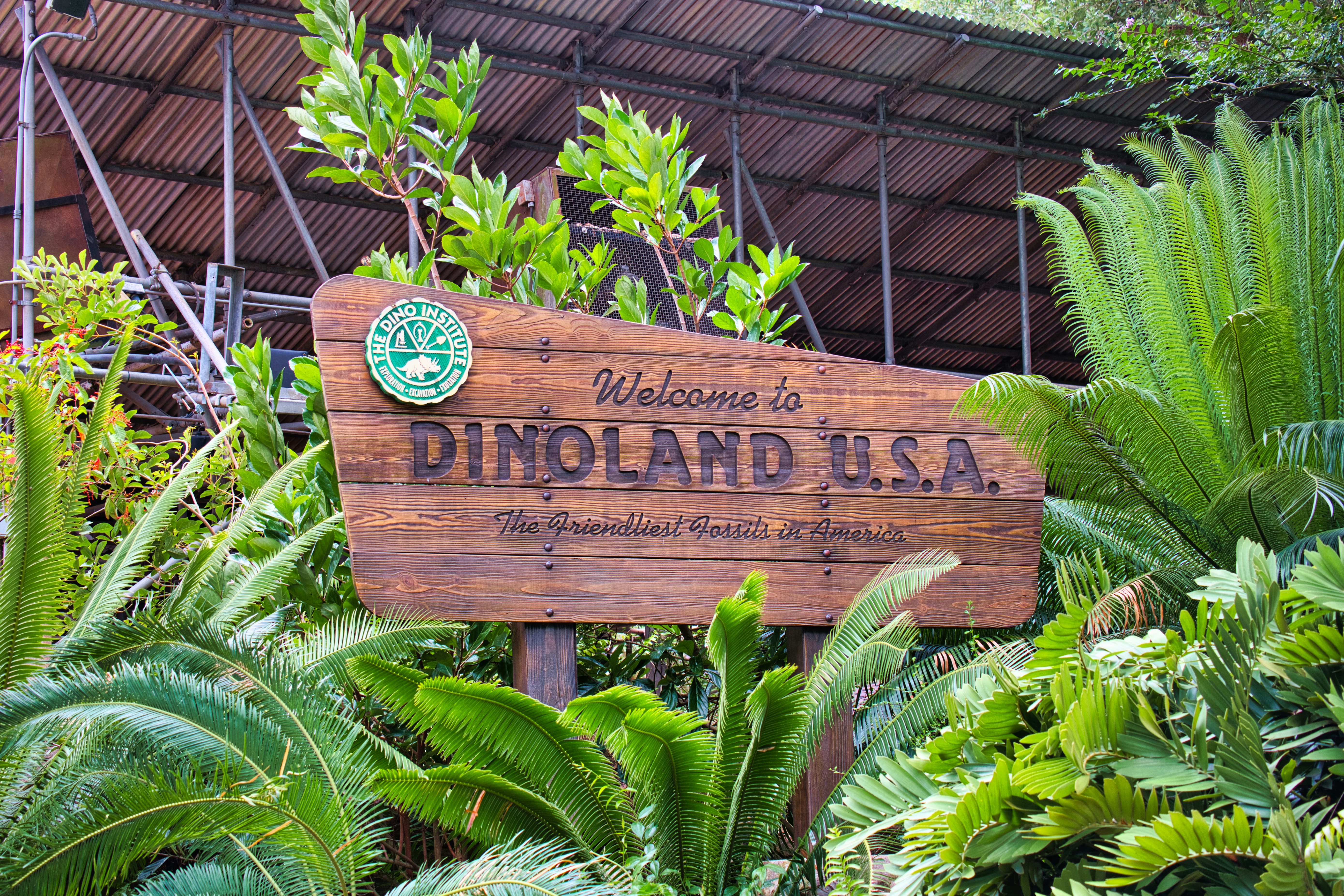 brown wooden signage near plants