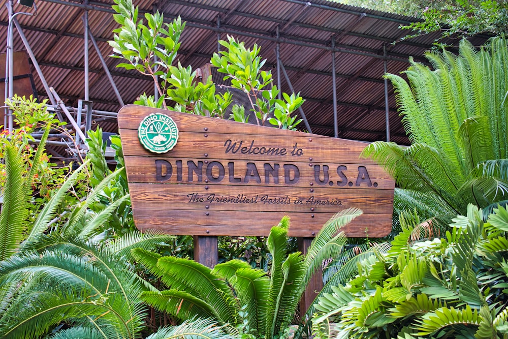 brown wooden signage near plants