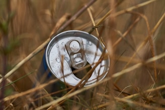 A discarded aluminum beverage can is lying on the ground, partially hidden among dry, brown grass. Water droplets are visible on the can's surface, suggesting recent rain or dew.
