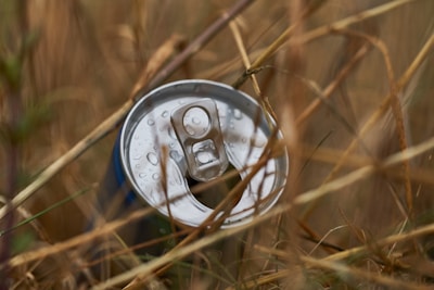 A discarded aluminum beverage can is lying on the ground, partially hidden among dry, brown grass. Water droplets are visible on the can's surface, suggesting recent rain or dew.