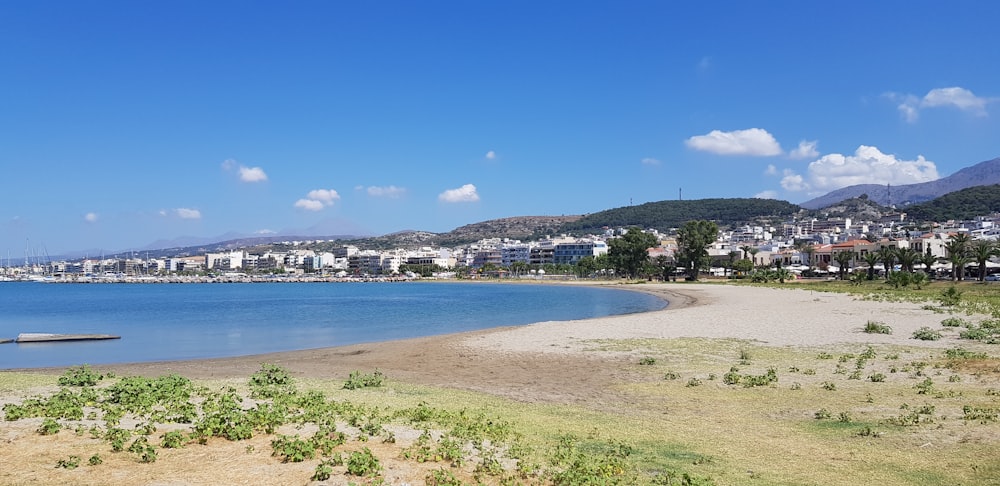 houses near body of water