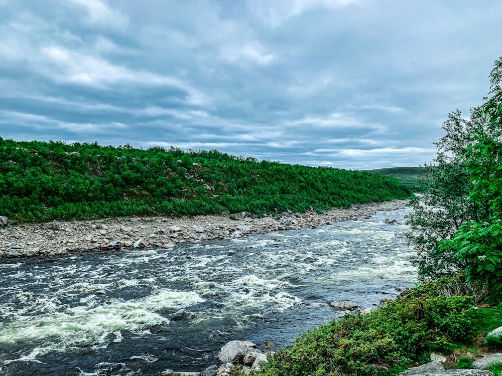 river n forest