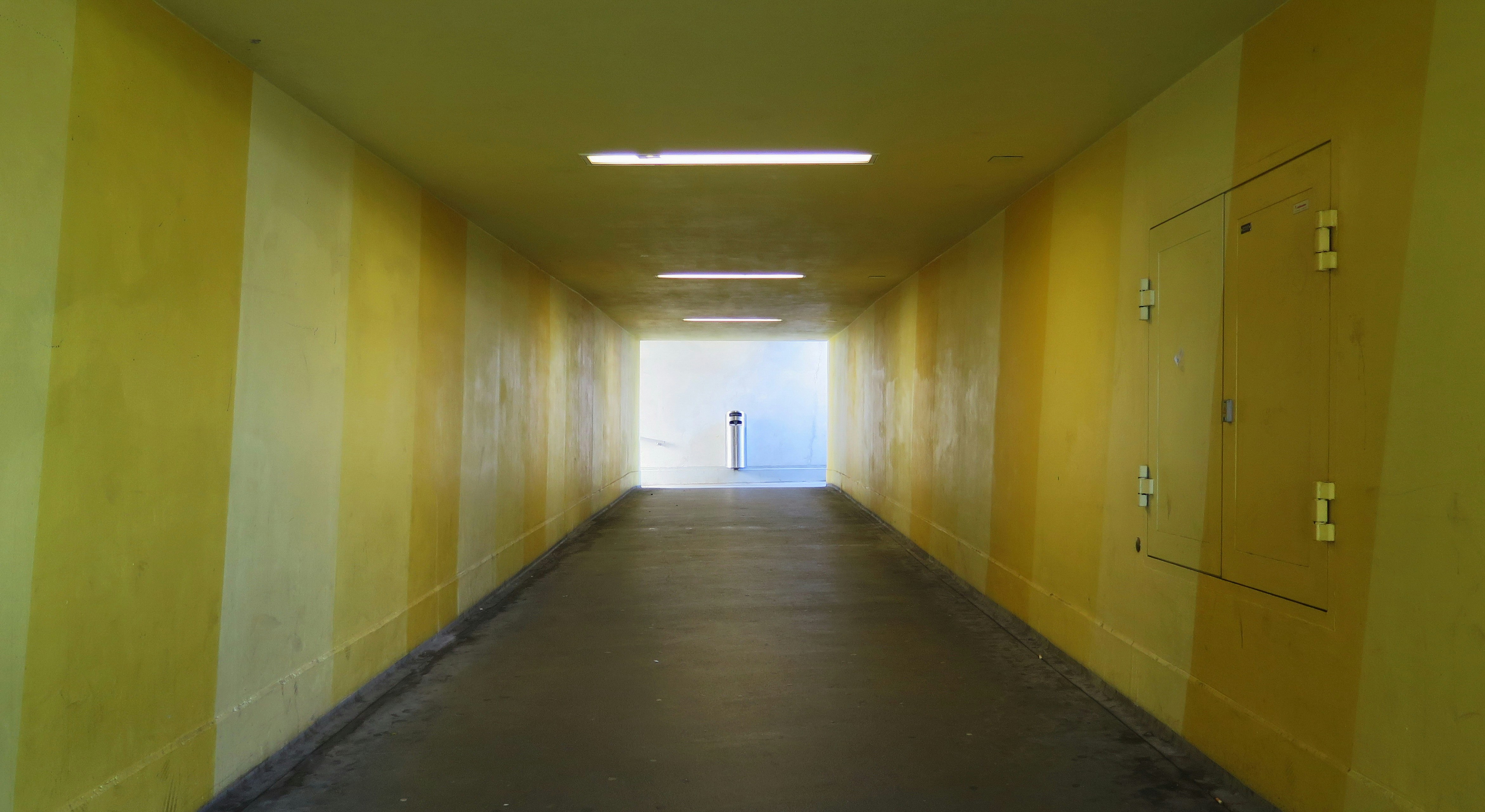 photo-1563042517-46a2dfadf125?ixlib=rb-1.2.1&ixid=MnwxMjA3fDB8MHxwaG90by1wYWdlfHx8fGVufDB8fHx8&auto=format&fit=crop&w=1061&q=80