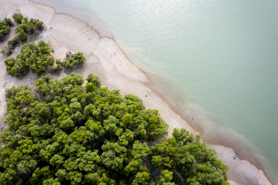 Beach photo spot Kisoroszi Budapest