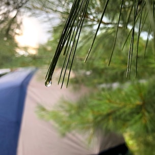 Close-up of durable tent parts and accessories laid out on a wooden table with pine needles.
