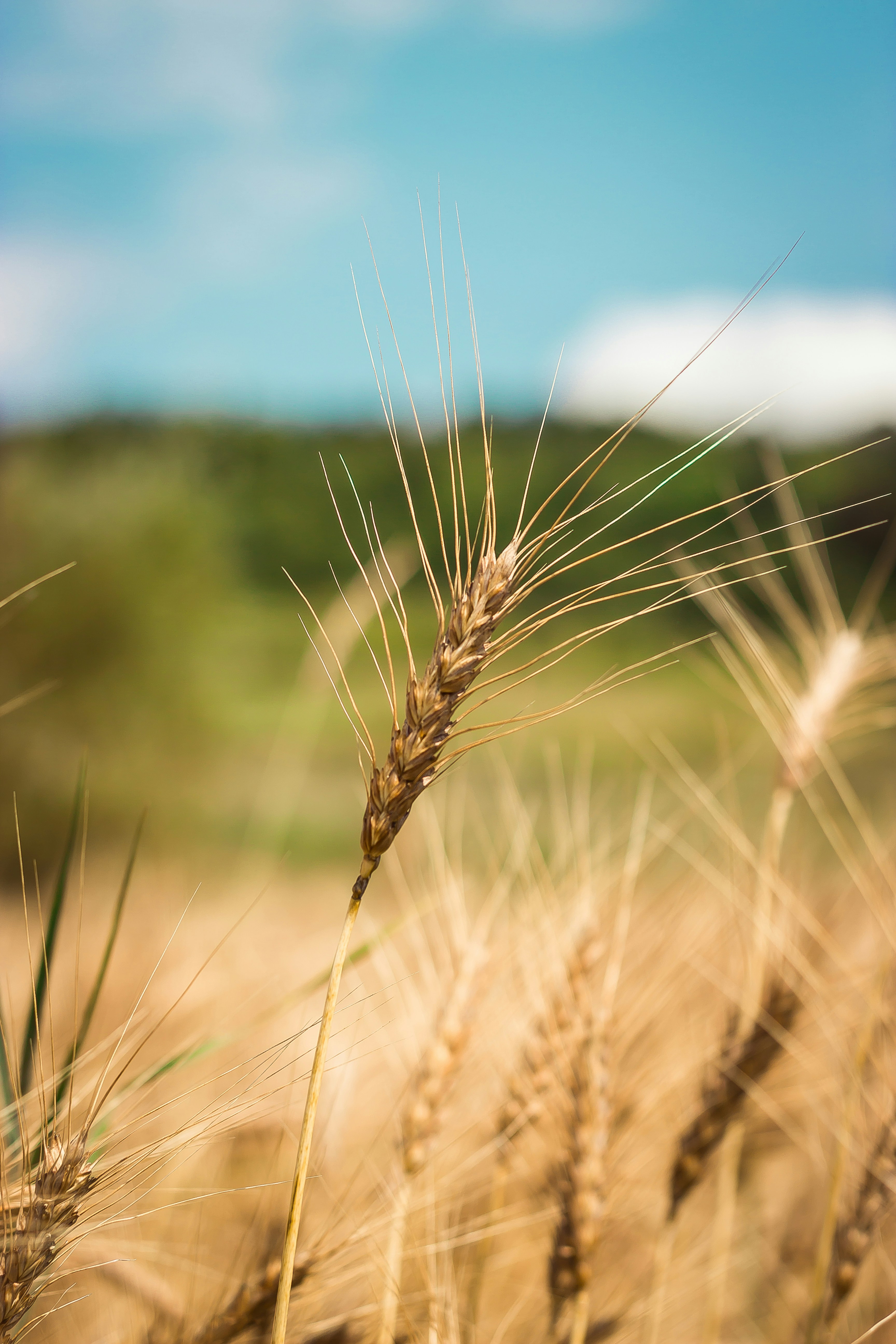 Photo by dariuscotoi