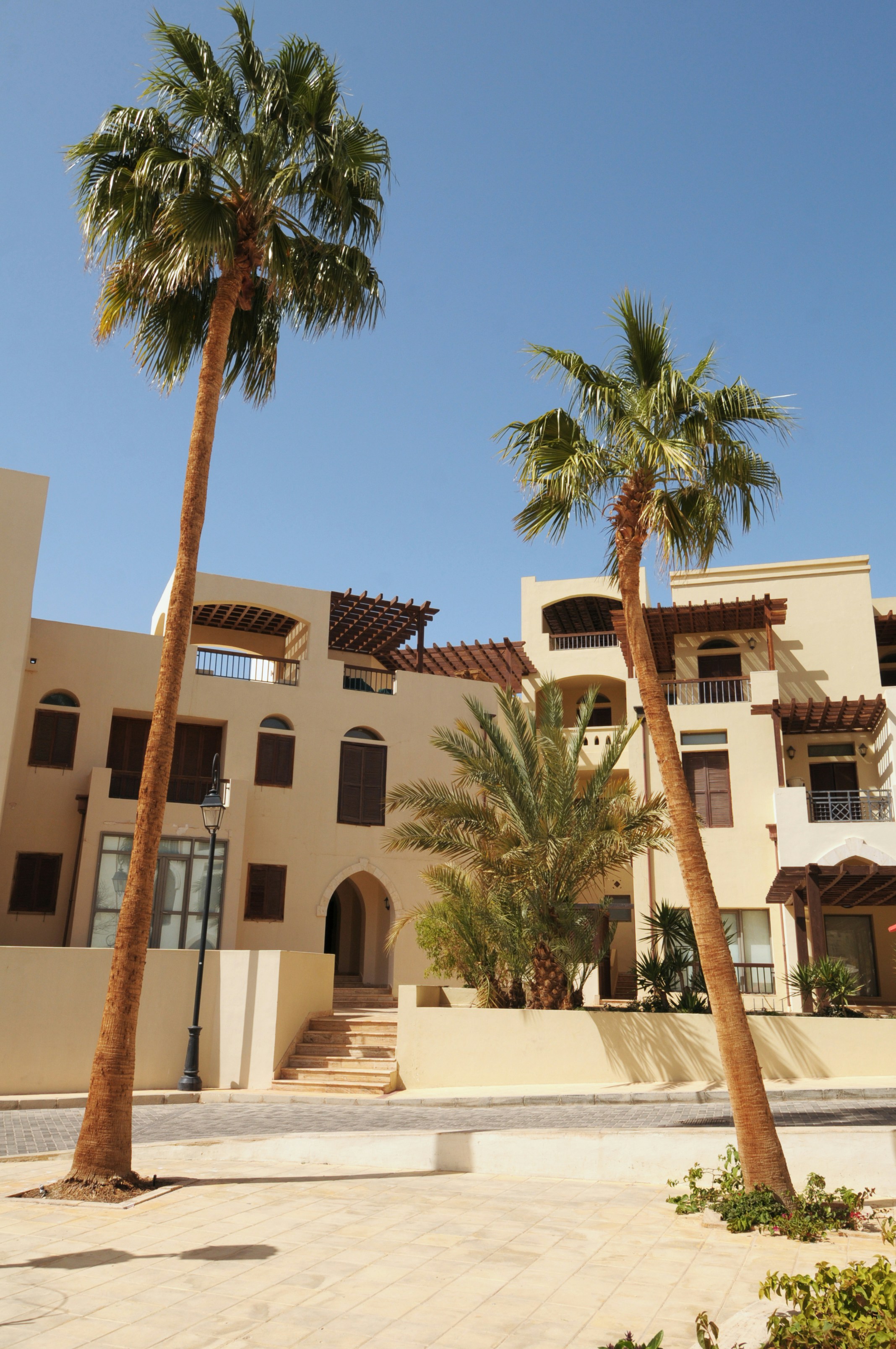 Photo by yuli_superson