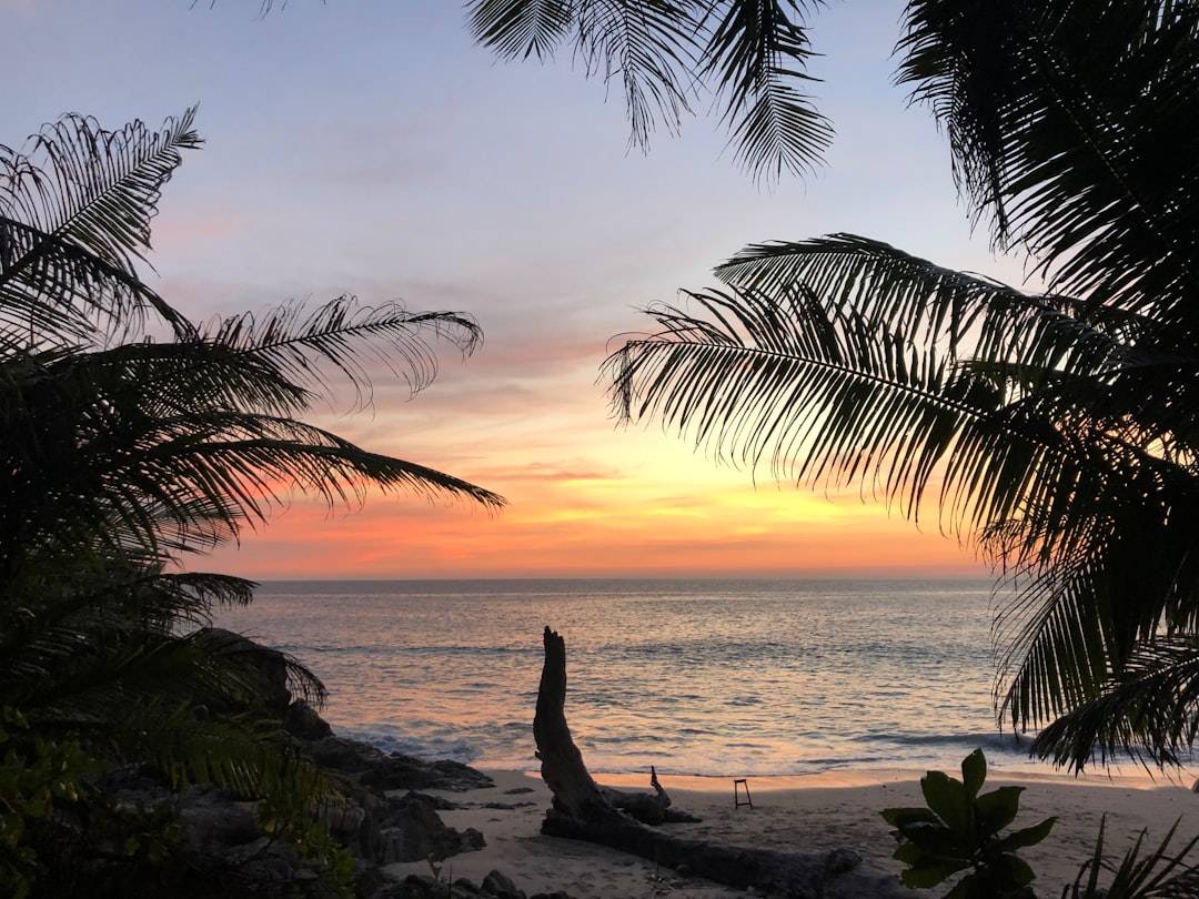 Tropics photo spot Phuket Phi Phi Islands