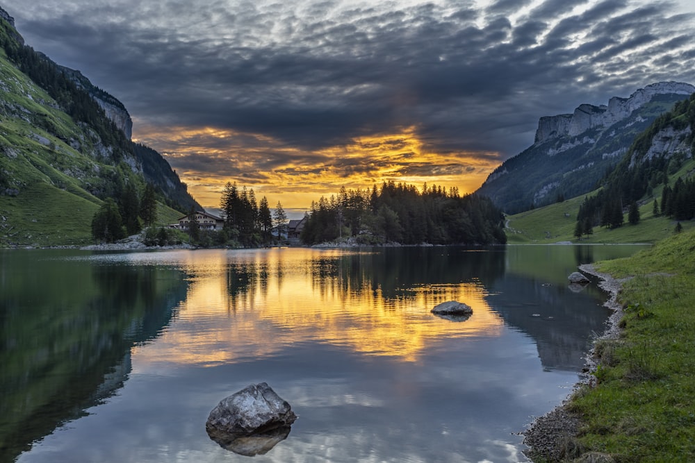 lake in forest