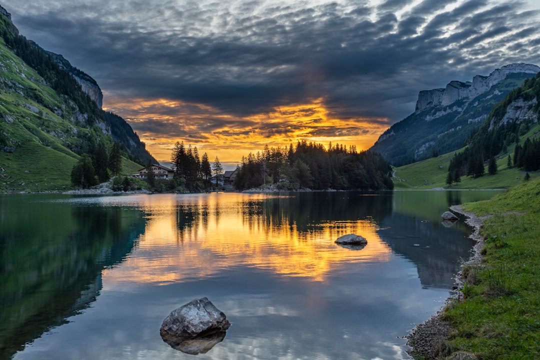 lake in forest