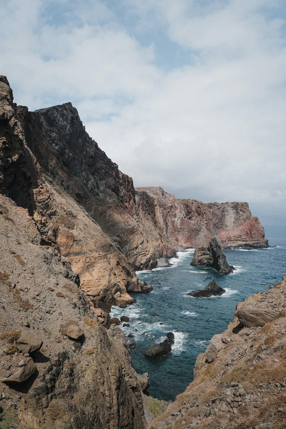 seashore during daytime