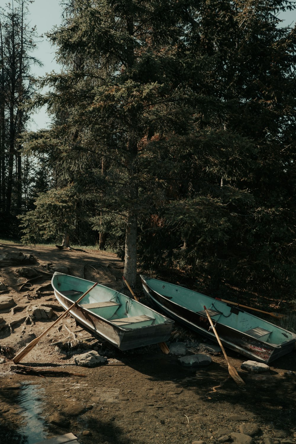 Dos parques de canoas junto a los árboles