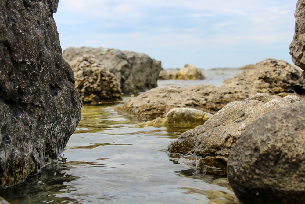 body of water during daytime