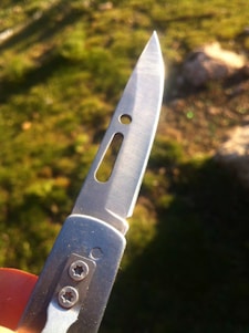 A close-up of a metallic folding knife blade with a sharp edge and a small hole near the top. The handle has two visible torx screws and is partially covered by a finger holding it. The background is a grassy and rocky area, slightly out of focus, in natural daylight.