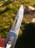 A close-up of a metallic folding knife blade with a sharp edge and a small hole near the top. The handle has two visible torx screws and is partially covered by a finger holding it. The background is a grassy and rocky area, slightly out of focus, in natural daylight.