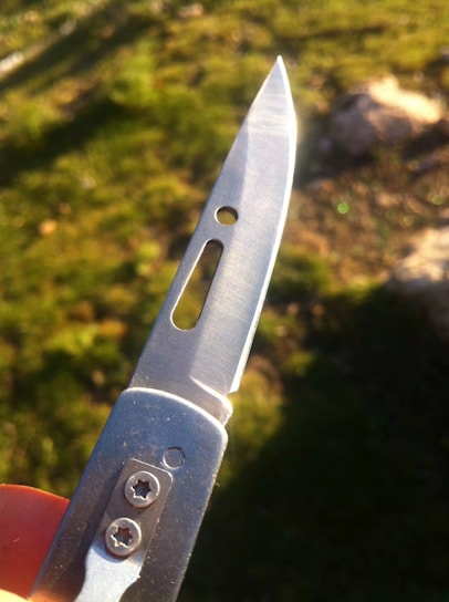 A close-up of a metallic folding knife blade with a sharp edge and a small hole near the top. The handle has two visible torx screws and is partially covered by a finger holding it. The background is a grassy and rocky area, slightly out of focus, in natural daylight.