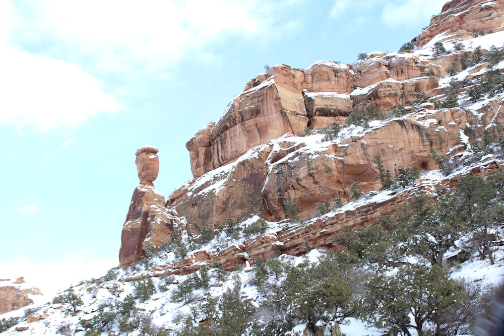 brown rock formation