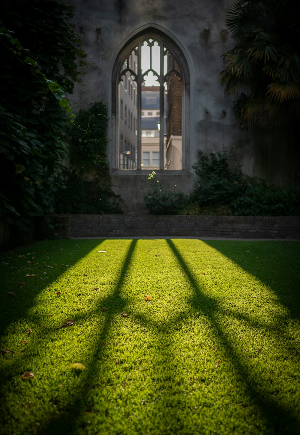 green grass near building