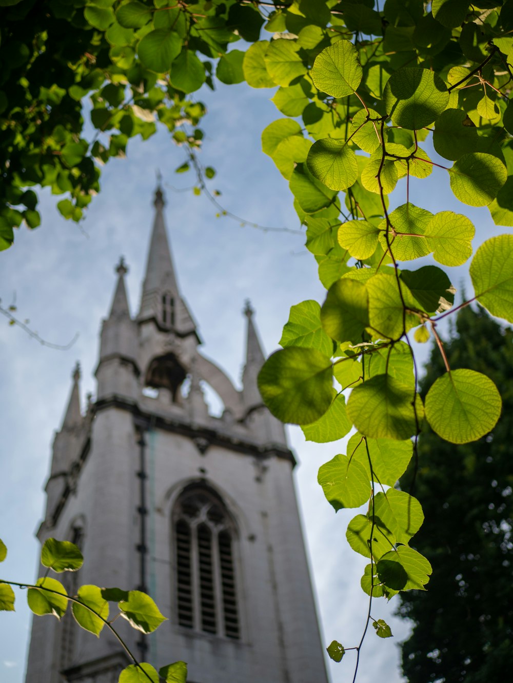 view of church building from bushes