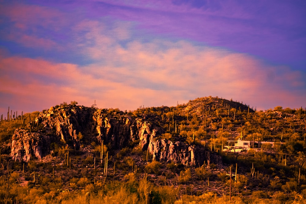 mountain during golden hour