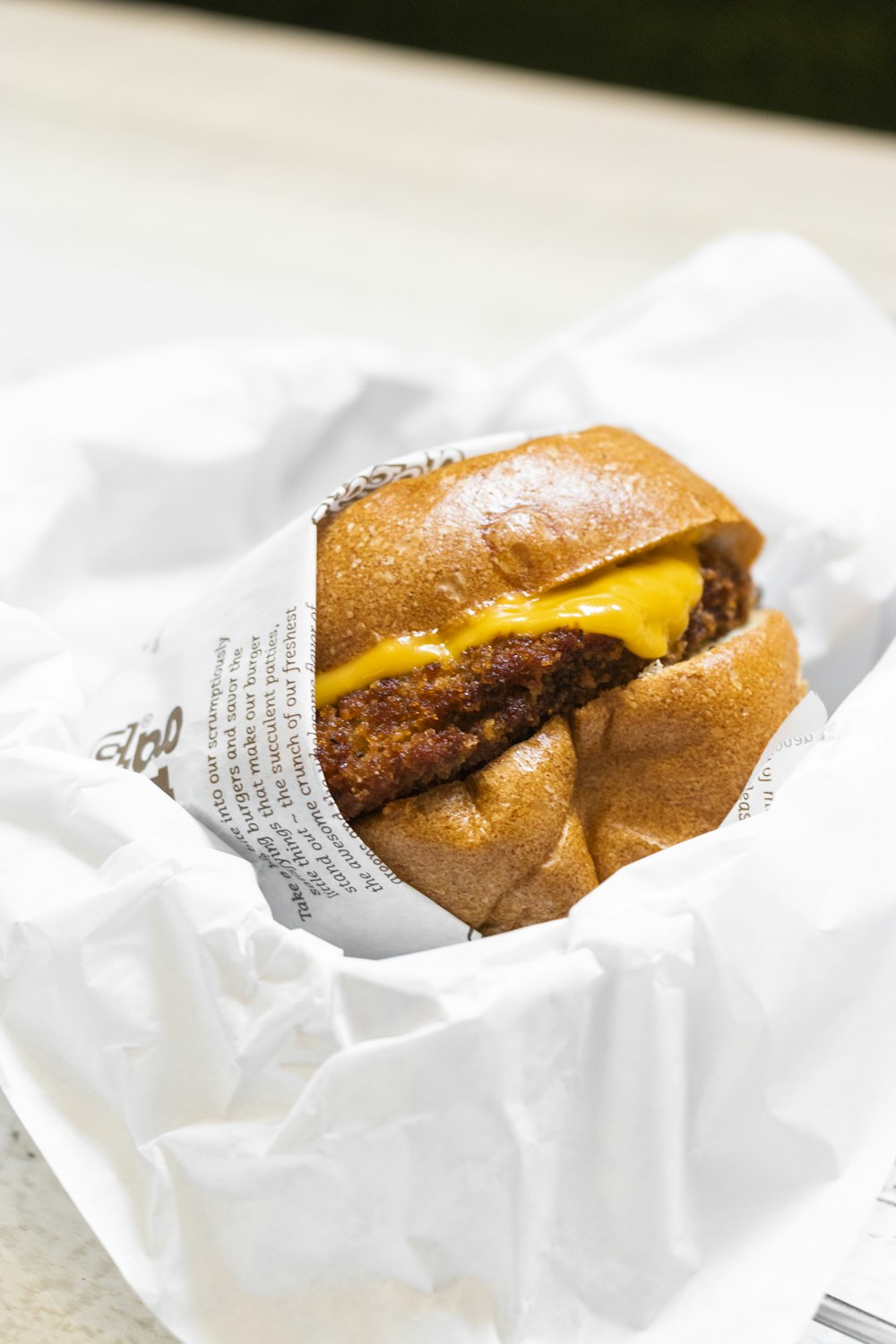 cheese burger on focus photogaphy