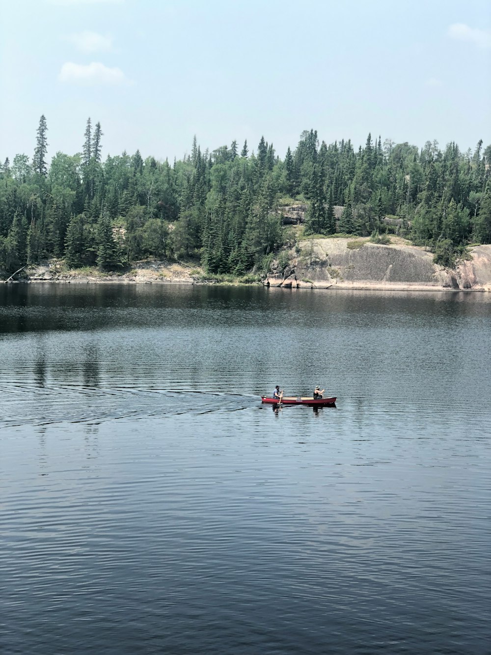 person riding on kayak near pine trees
