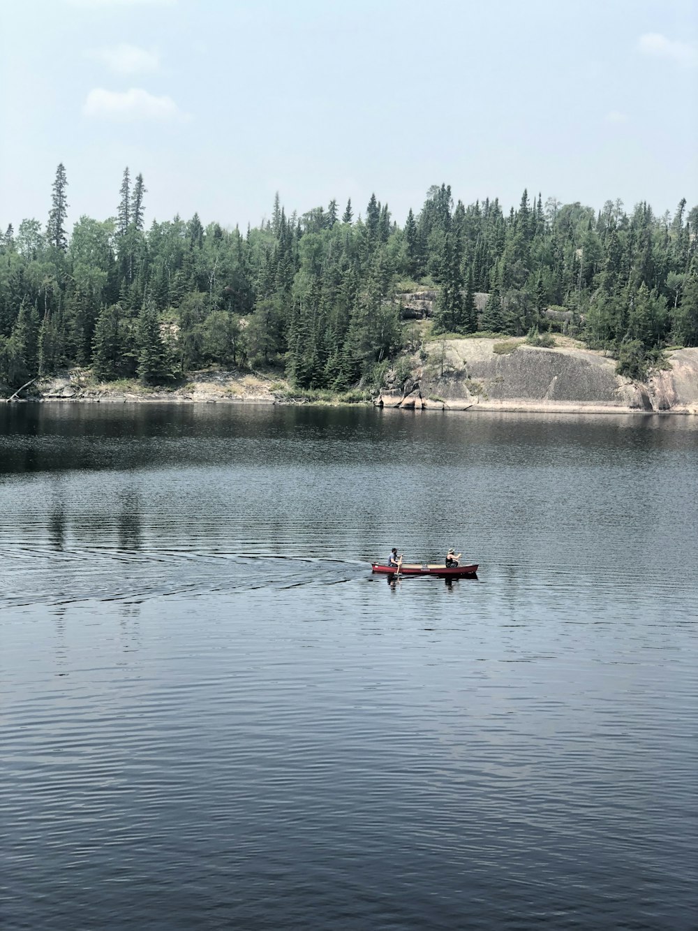 person riding on kayak near pine trees