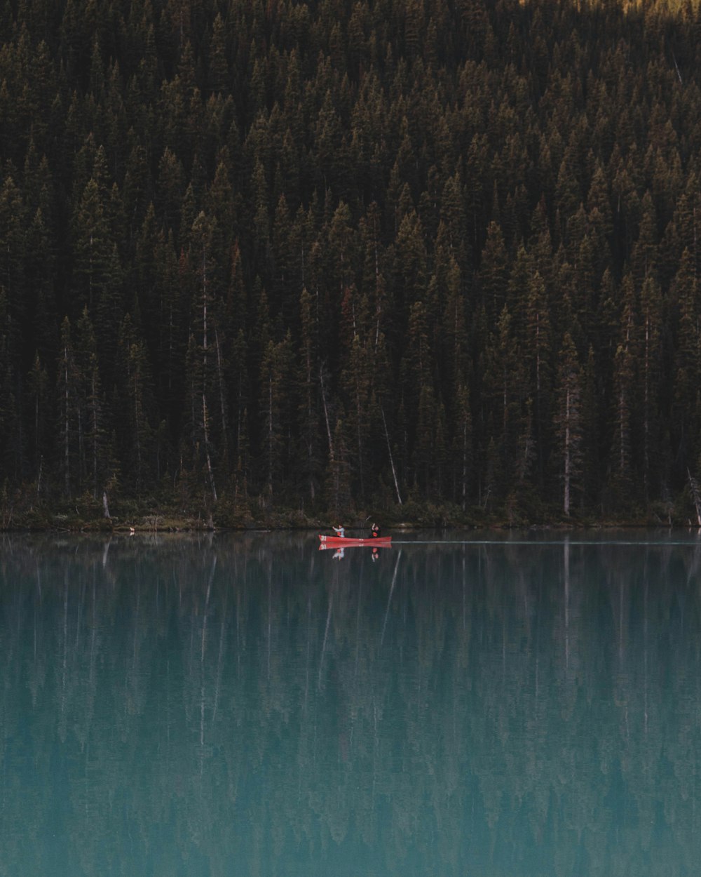 a boat floating on top of a lake next to a forest