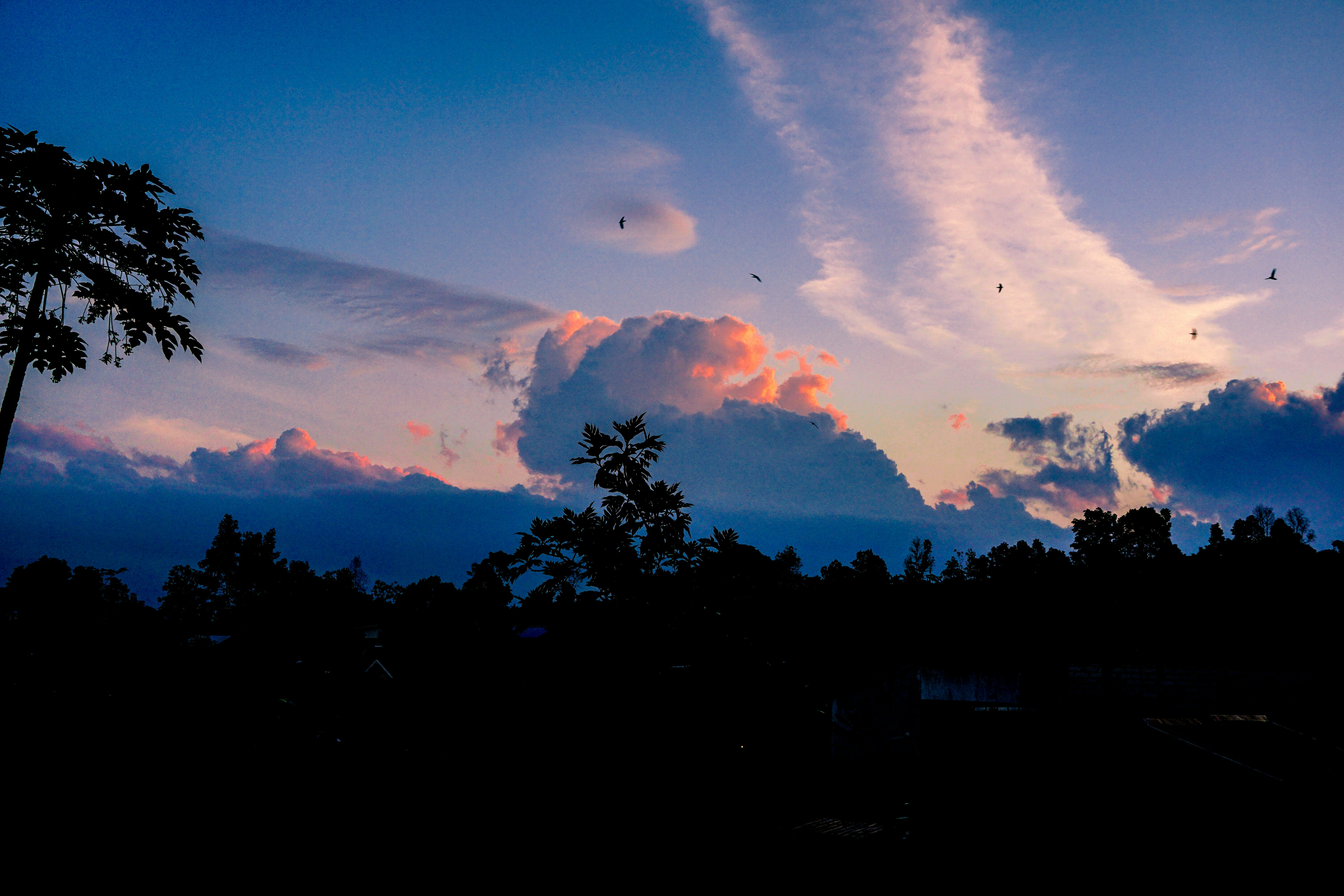 Photo by abymanyuhidayat