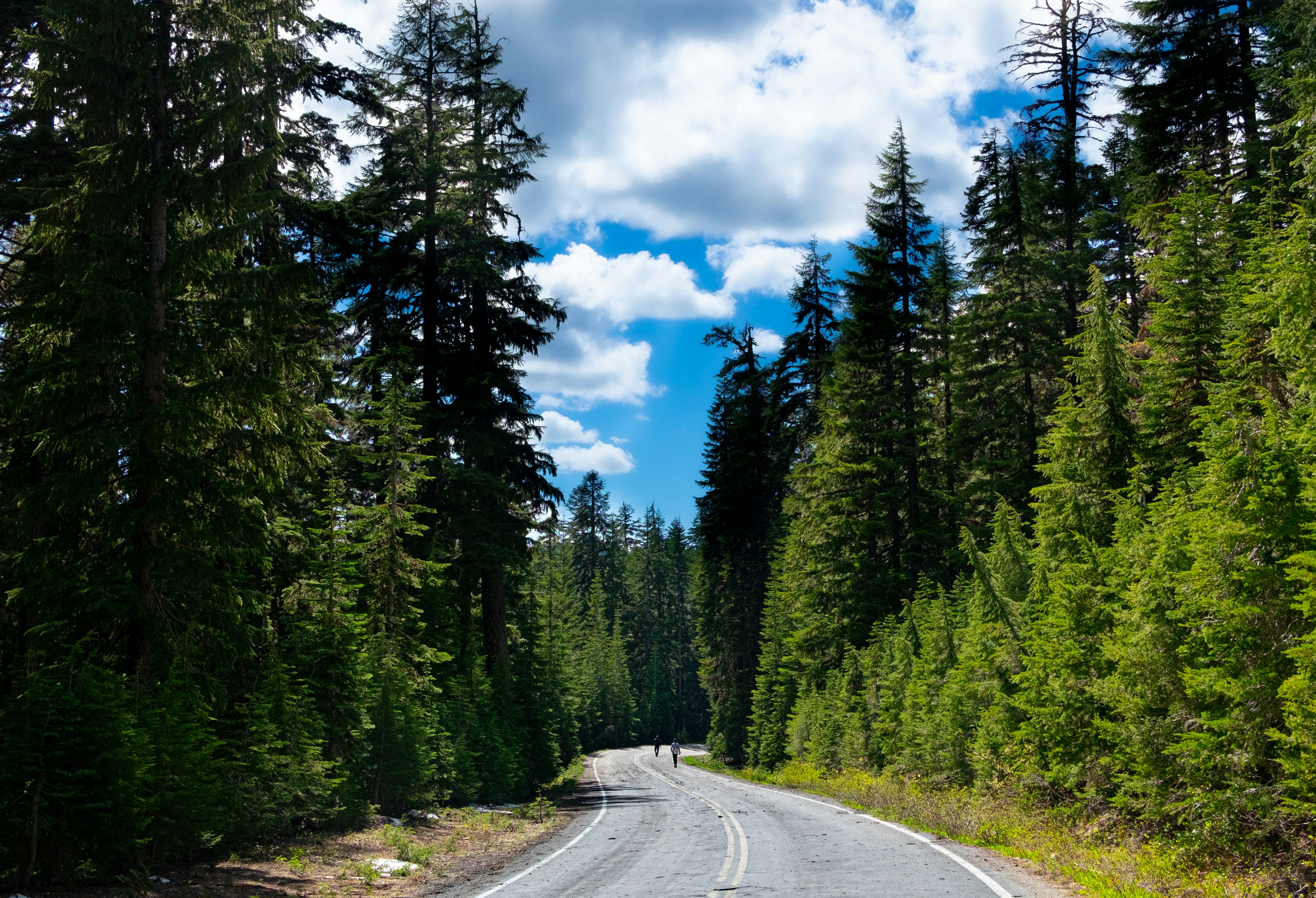 Photo by manukumarsk