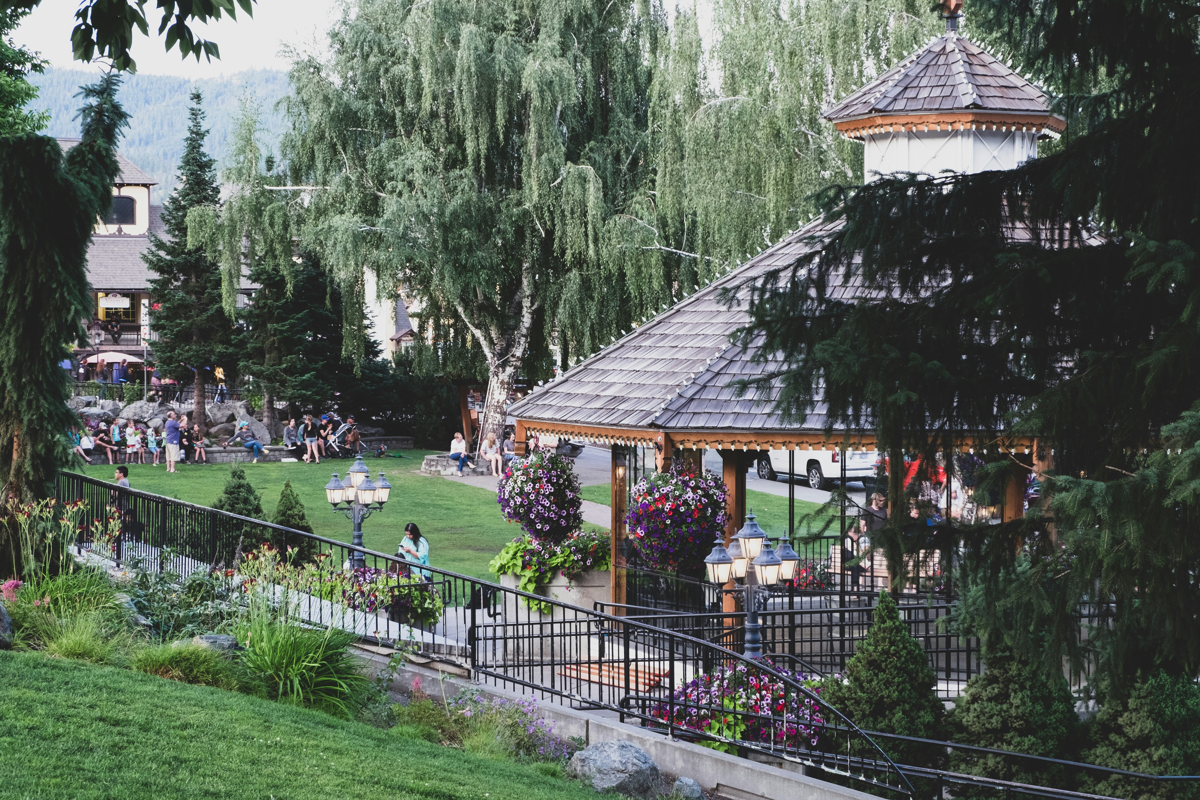 people on park surrounded with tall and green trees