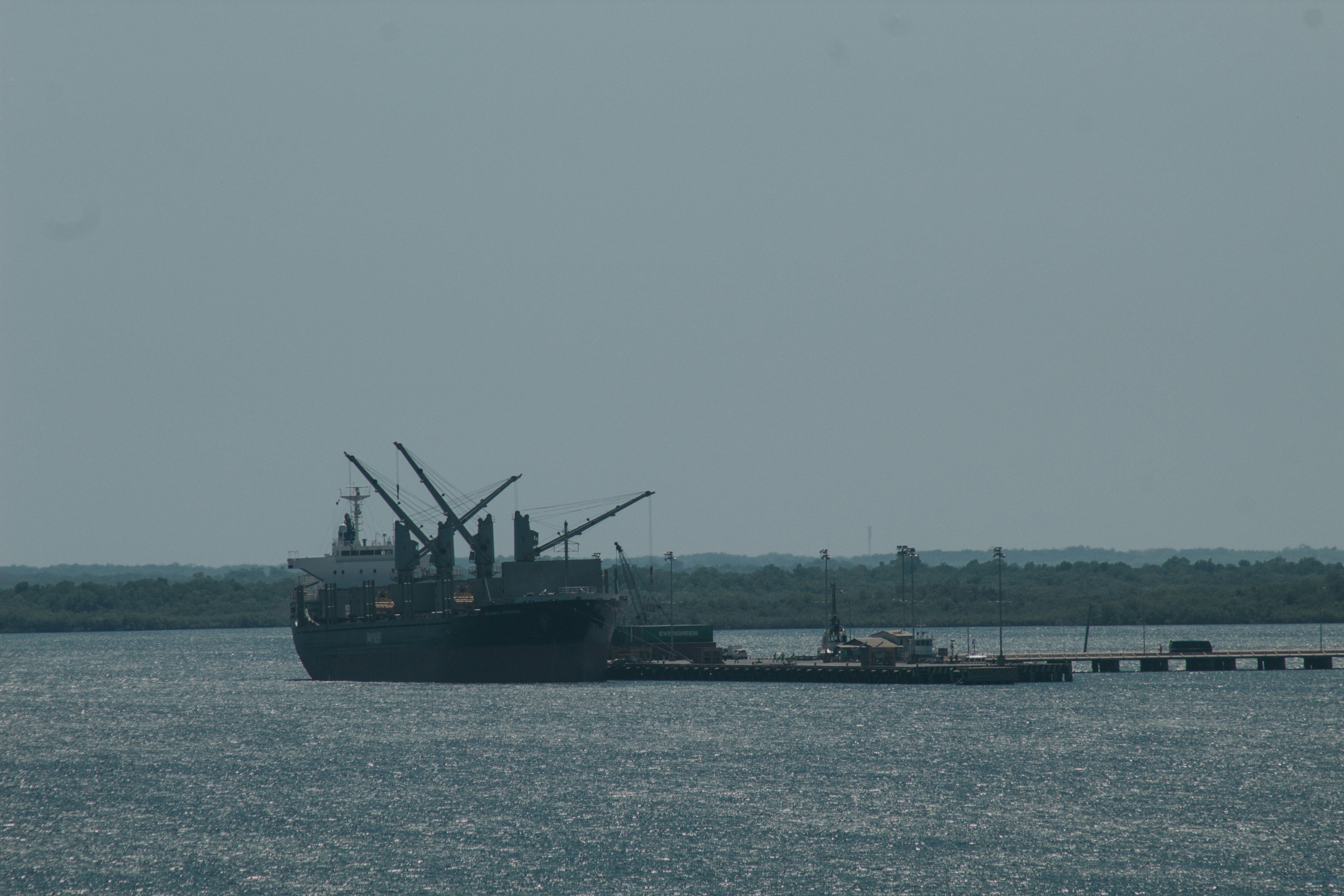 Photo by karinahalley