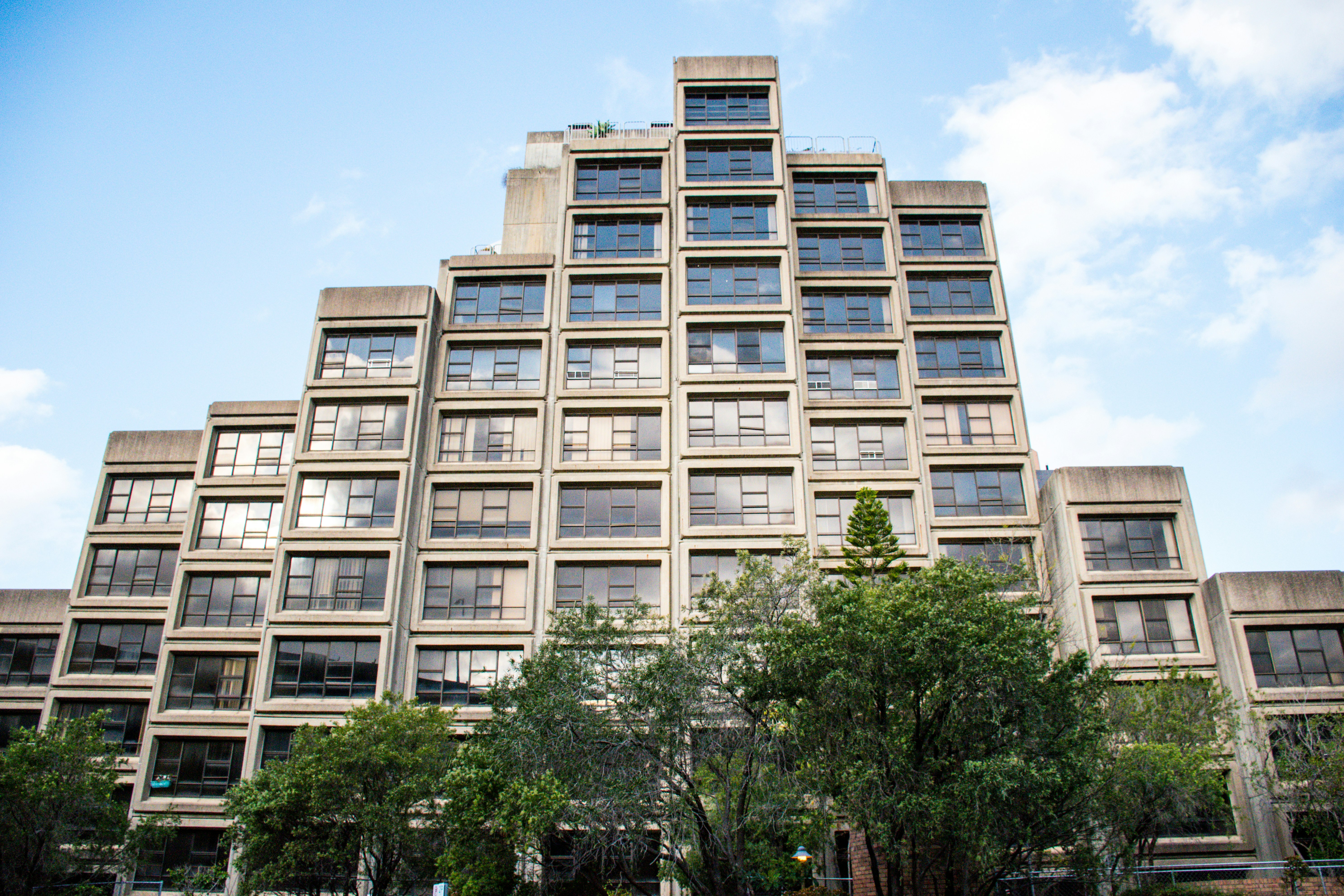 Photo by susan_kuriakose