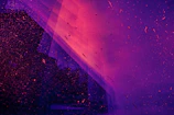neon pink and purple light particles