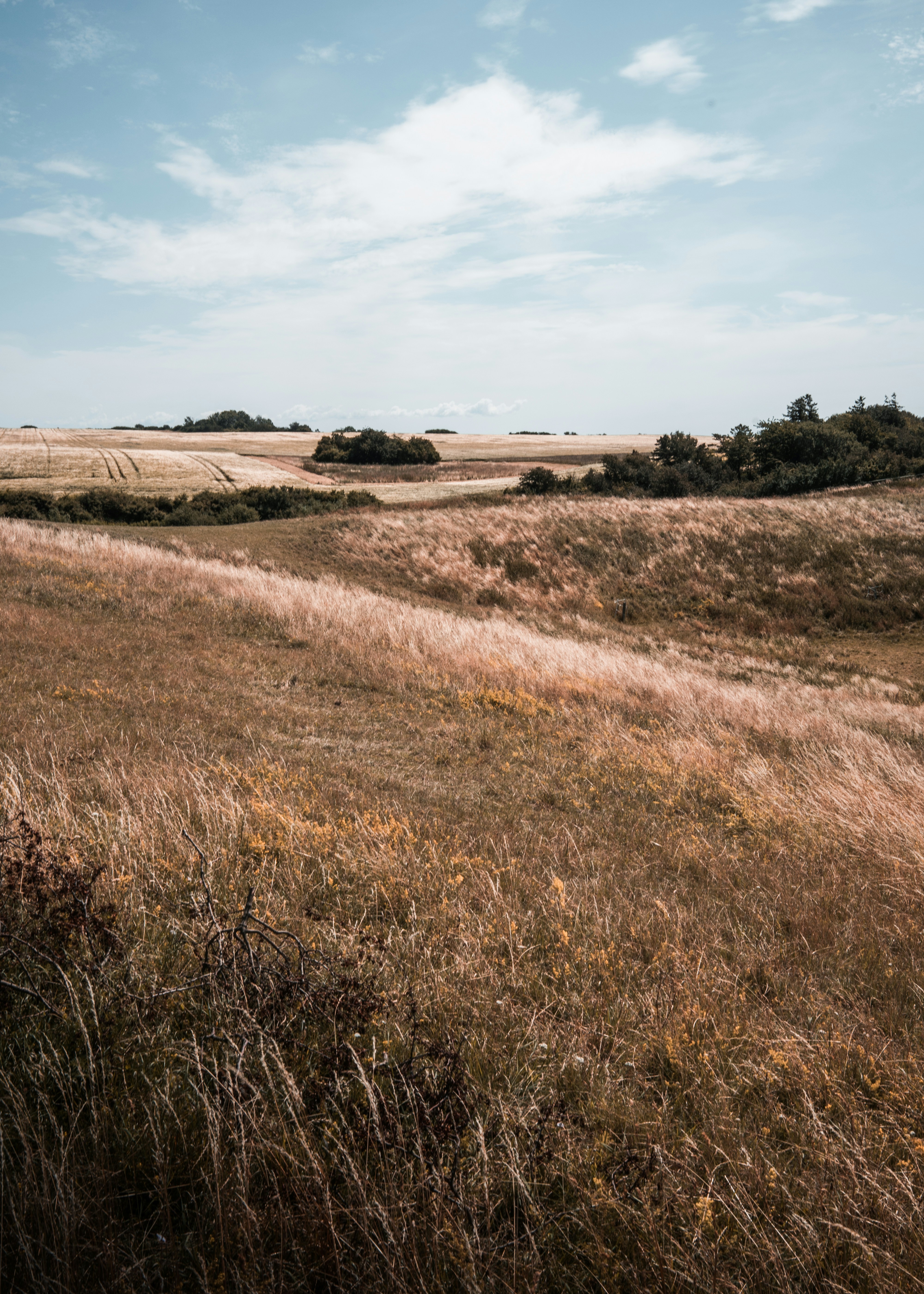 Photo by karljkhedin