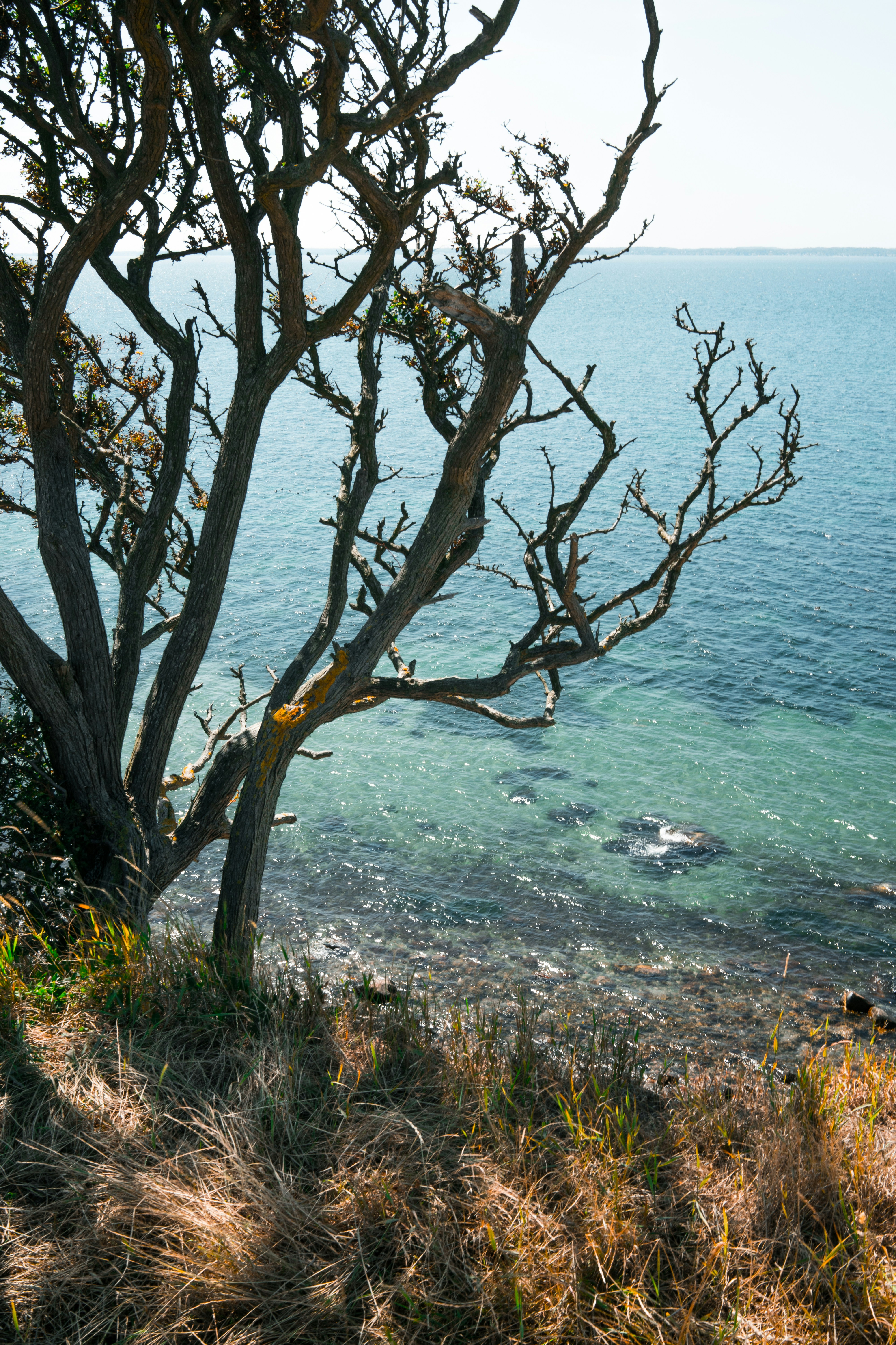Photo by karljkhedin