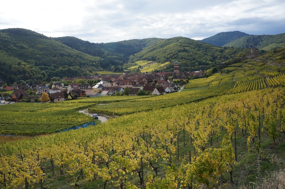 Gebäude und Anlagen überdachtes Feld