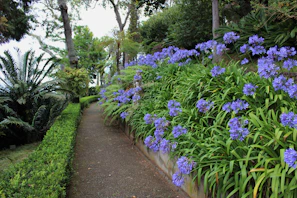 A peaceful garden corner featuring colorful perennials and a winding stone path