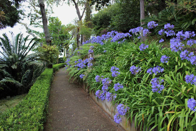 Peaceful garden path winding through vibrant flowers and tall trees.