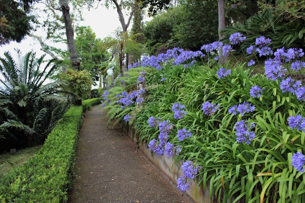 A serene garden path lined with colorful flowers.