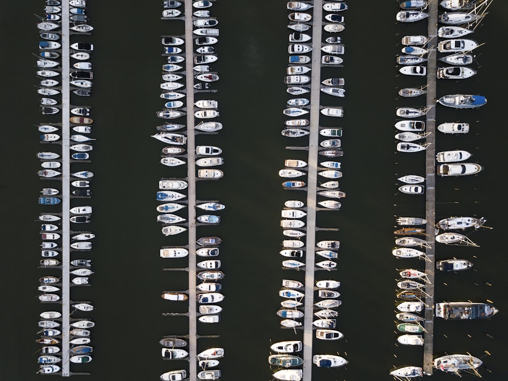 aerial photo of white yacht lot