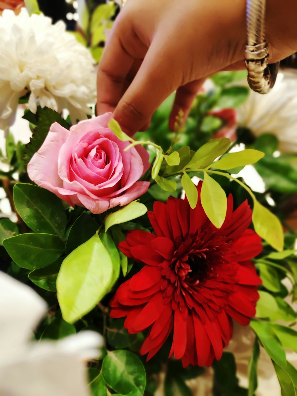 pink and red petaled flower